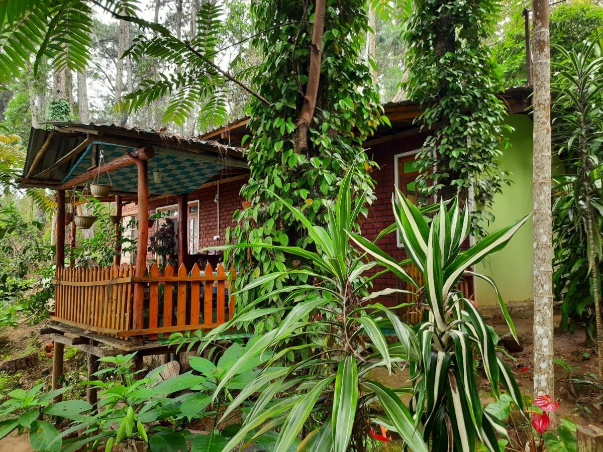 Green Heaven Lodge Элла Экстерьер фото